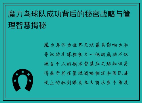 魔力鸟球队成功背后的秘密战略与管理智慧揭秘 魔力鸟球队成功背后的秘密战略与管理智慧揭秘